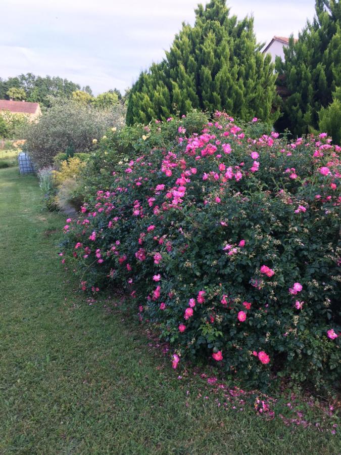 Chambre D'Hotes Le Clos De Rapevache ภายนอก รูปภาพ